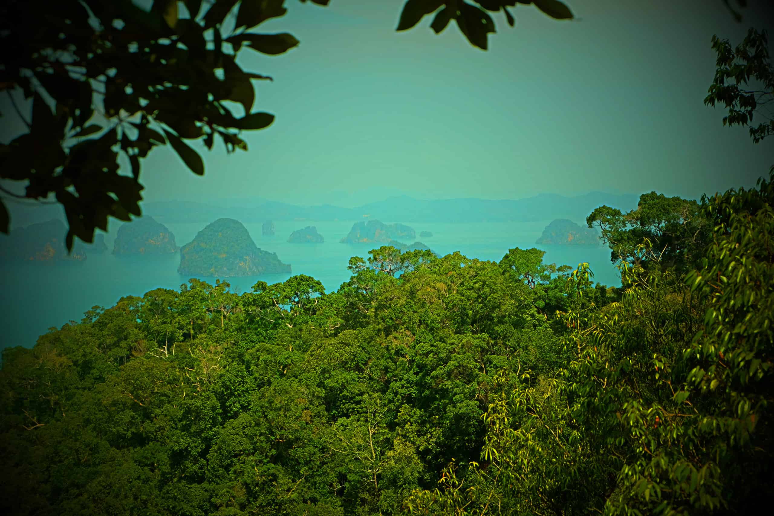 Retraite de Yoga et Méditation à Krabi Thaïlande