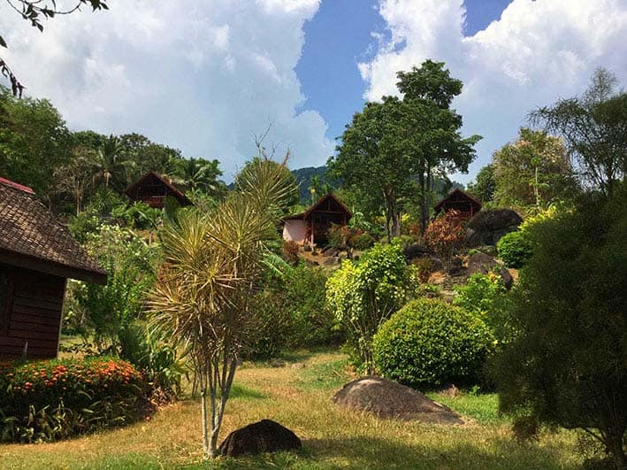 Cours de Yoga Sivananda au Mans. Yoga Sivananda en ligne. Yoga traditionnel authentique. Retraite et stage de Yoga. Méditation Vipassana. Méditation rythmo-phosphénique. Alimentation saine et vibratoire. Cours de cuisine yoguique. Yoga de la Forêt Le Mans.